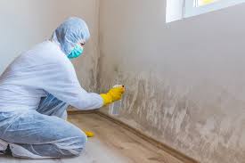 Mold Remediation for Vacation Homes in Montgomery, GA