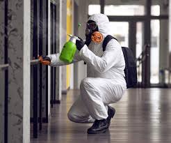 Why You Should Choose Our Mold Remediation Services in Montgomery, GA